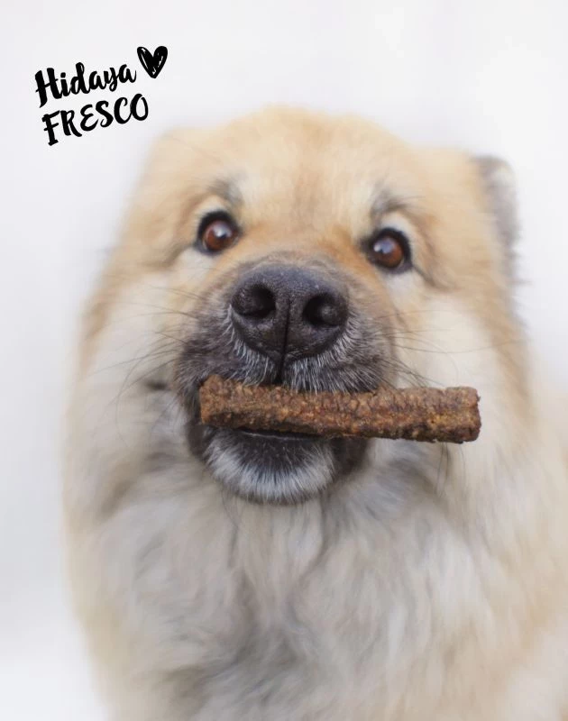 Fresco Martin Rütter Riegel Pferd 100g Fresco Martin Rütter Riegel Pferd 100g