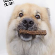 Fresco Martin Rütter Riegel Pferd 100g