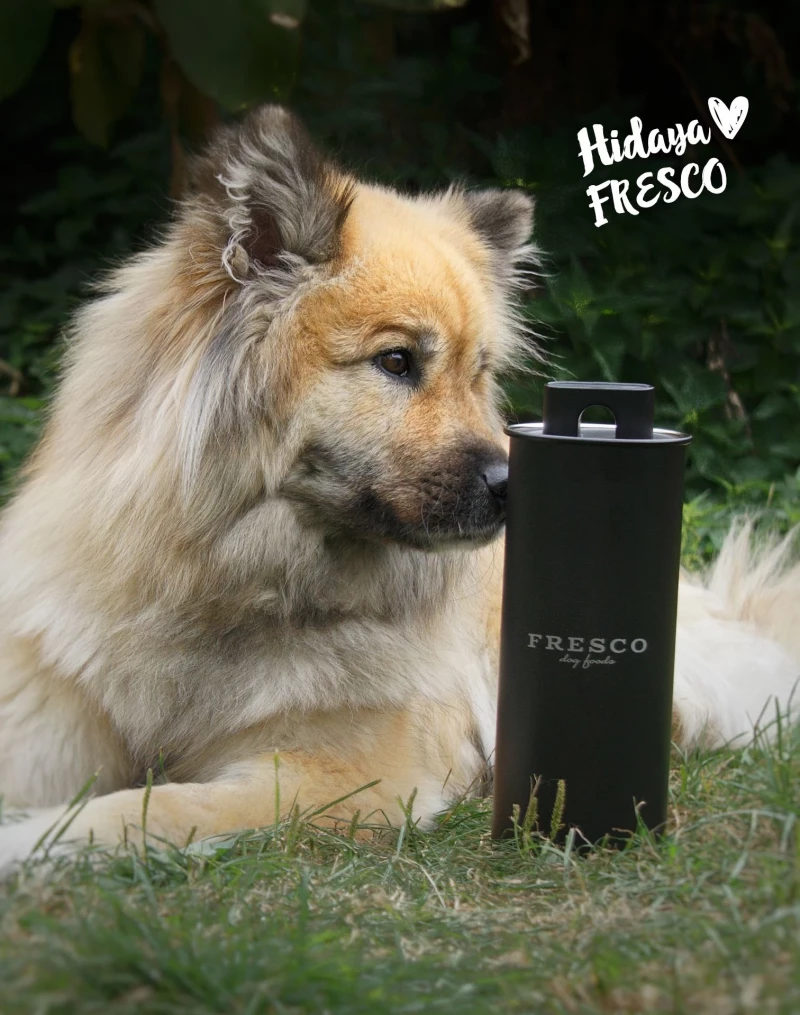 FrischBarf Complete Plus Rind by Martin Rütter 0,95 kg